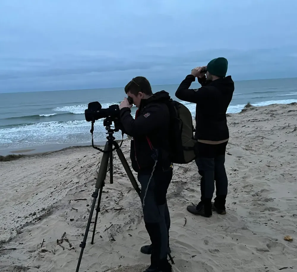 Capture d'espèce protégée réglementation à Englebelmer